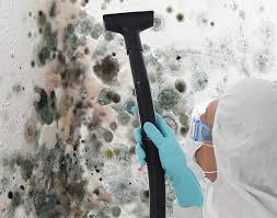 Best Emergency Mold Remediation  in East Peoria, IL